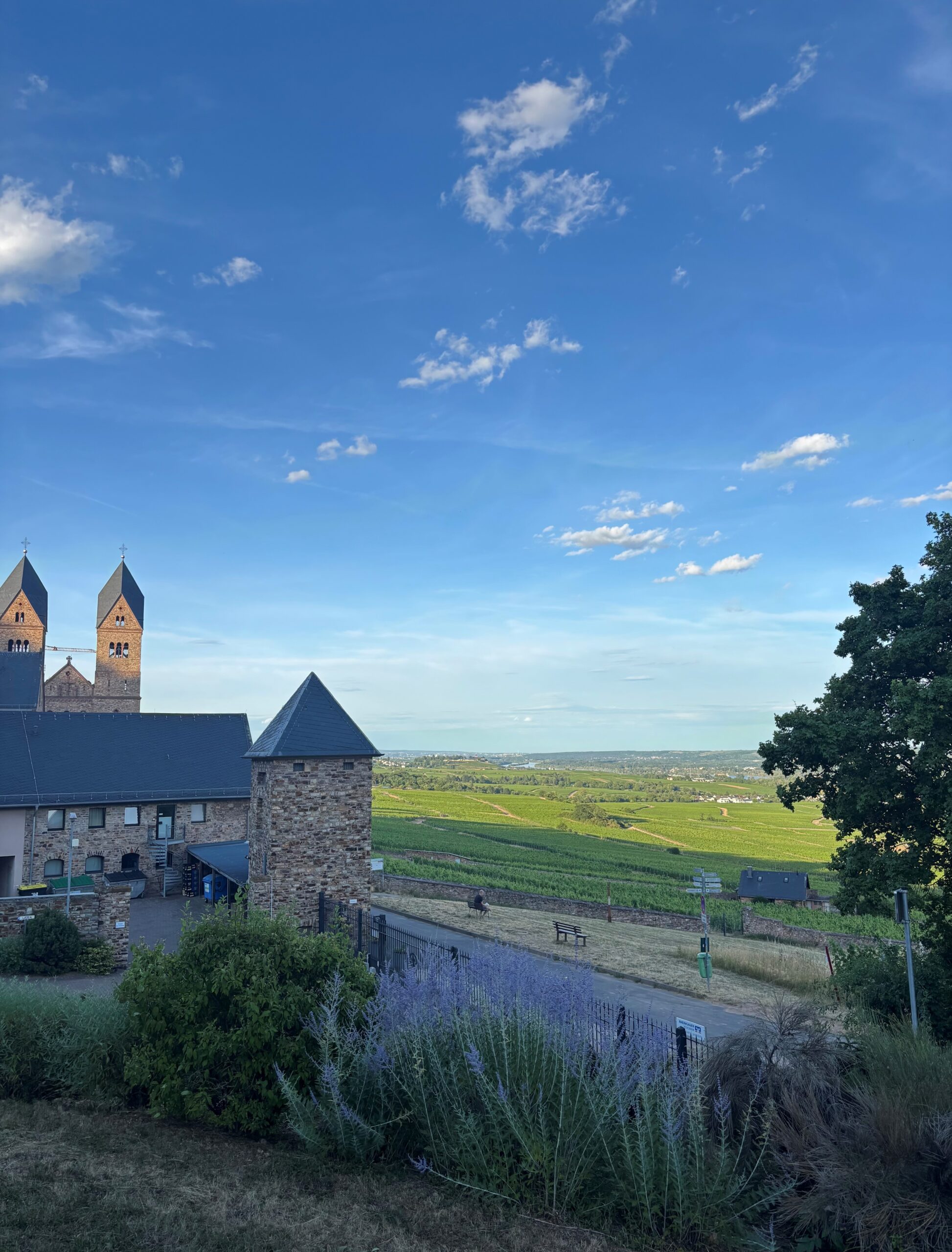 Ausblick von einem Hügel oberhalb der Abtei St. Hildgard. Man sieht links im Bild die Klosterkirche und rechts die Kloster-Weinberge. Der Himmel ist blau und die Szenerie liegt im Halbschatten.